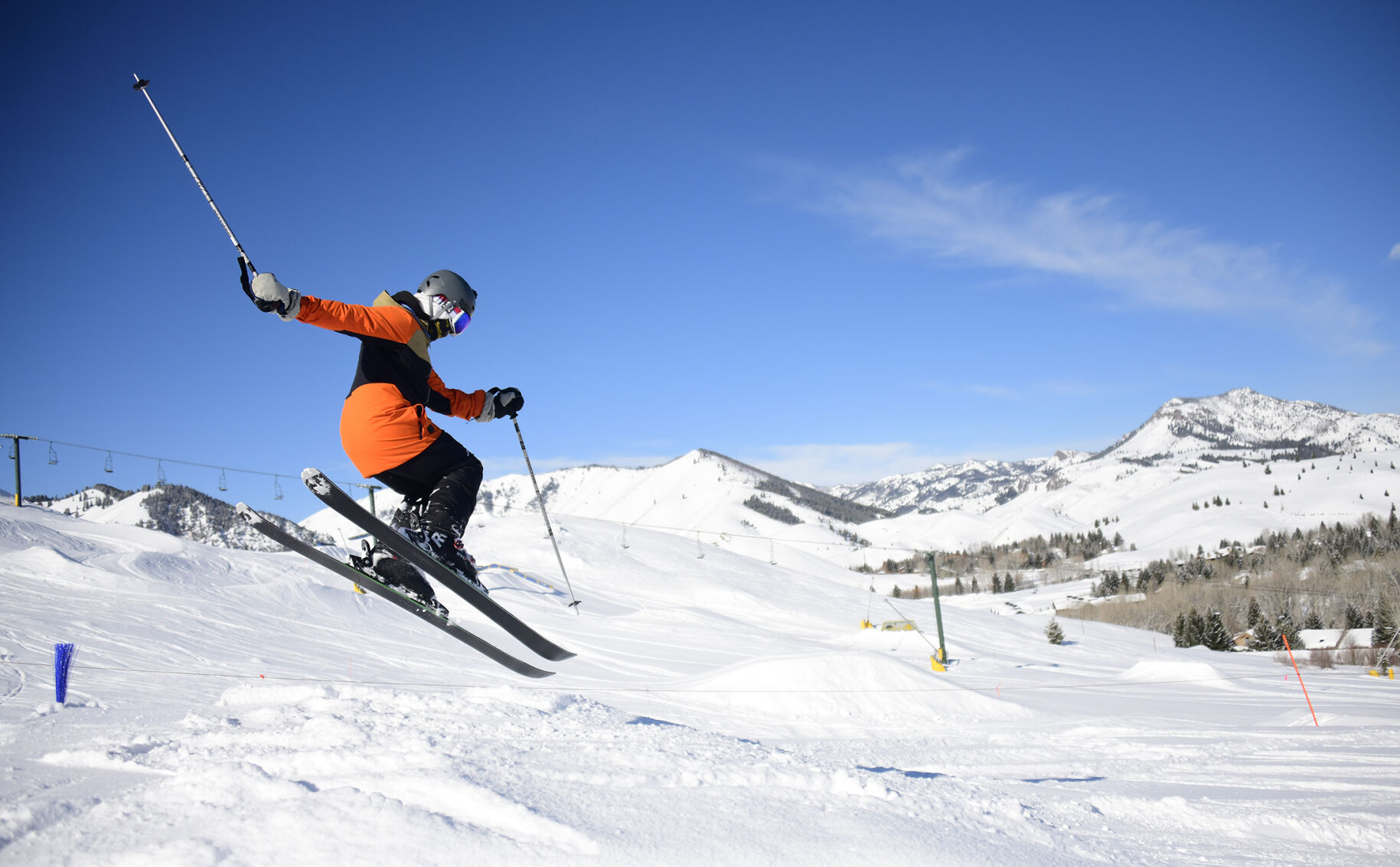 Skiing Dollar